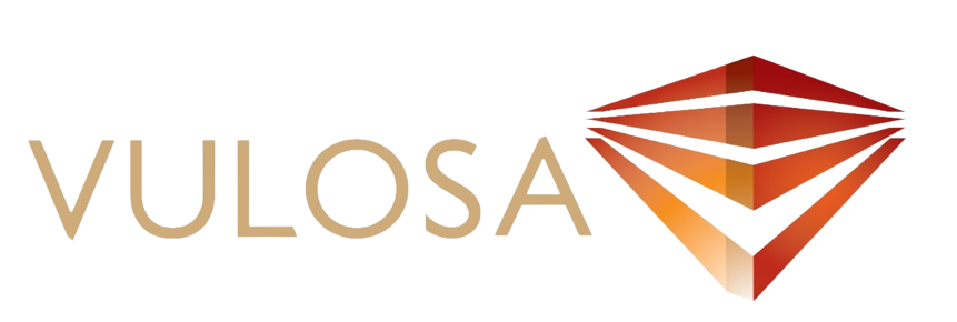 logo_vulosa
